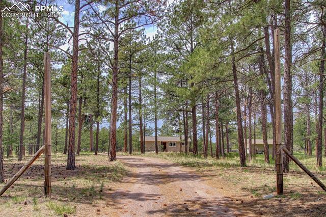 11340 Pine Meadows Road