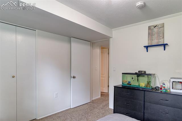 11340 Pine Meadows Road