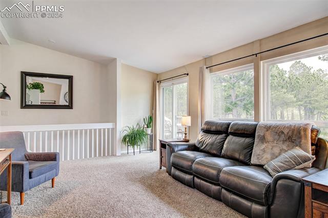 11340 Pine Meadows Road