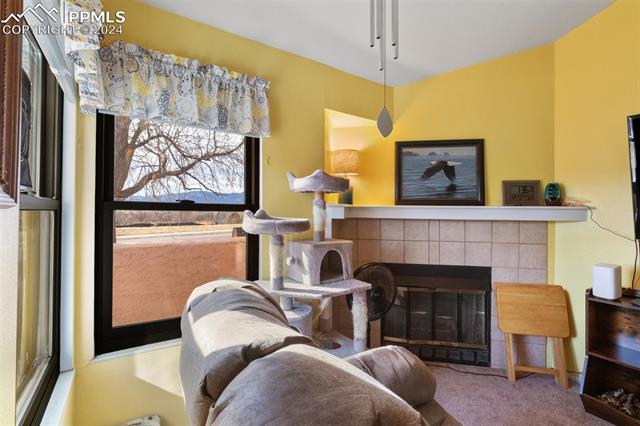 6650 Bobtail Drive