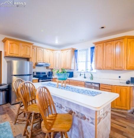 1394 E Kiva Drive