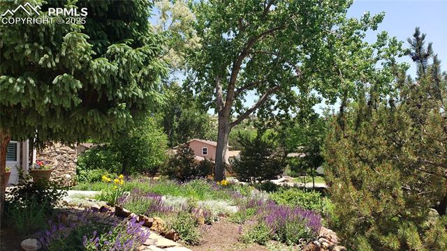 5298 Pony Creek Circle