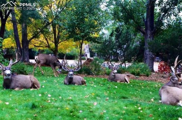 5298 Pony Creek Circle