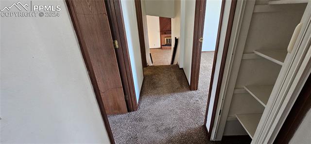 3602 Trailbluff Place