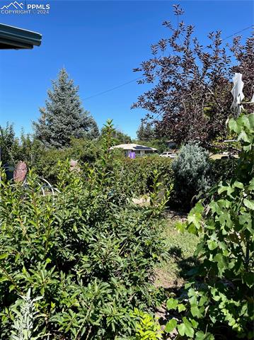 1403 Yosemite Drive