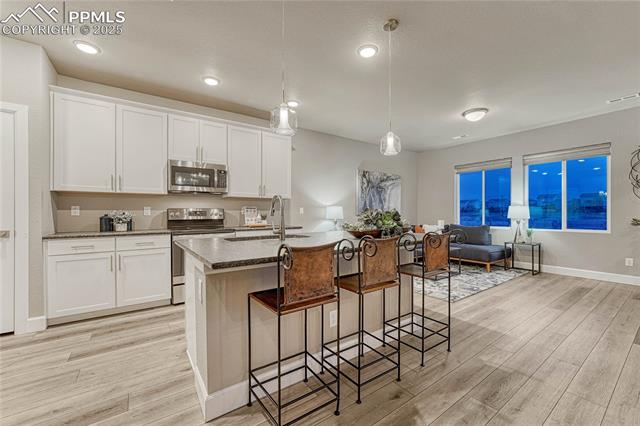 1734 Peak Prairie Lane