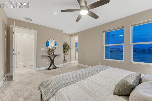 1734 Peak Prairie Lane