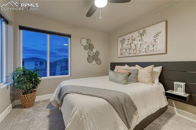 1734 Peak Prairie Lane