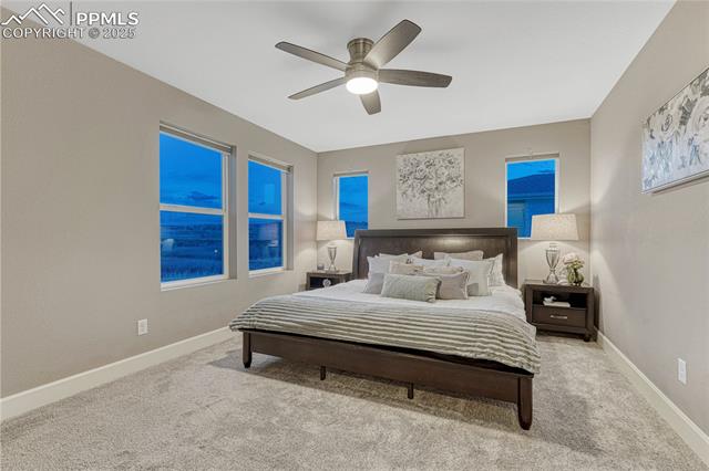 1734 Peak Prairie Lane