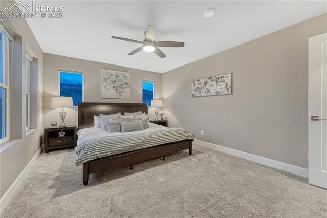 1734 Peak Prairie Lane