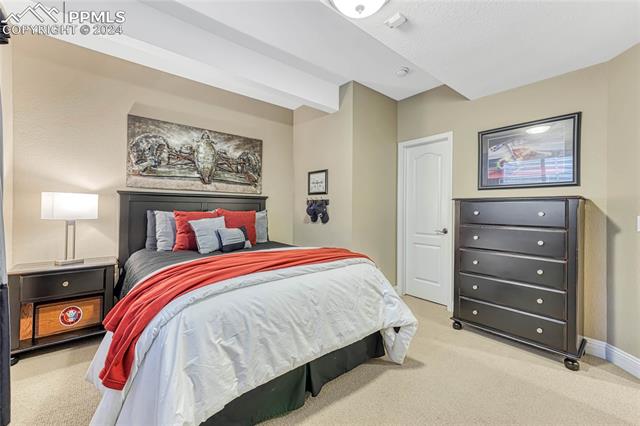 3235 Indian Peak Court