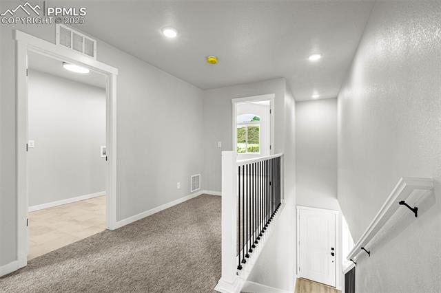 701 Little Bear Grove