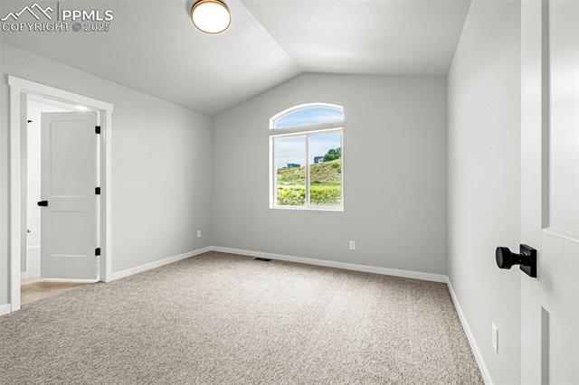 701 Little Bear Grove