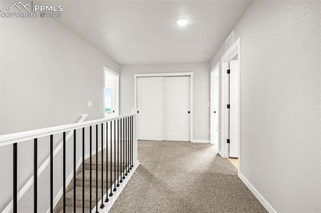 701 Little Bear Grove