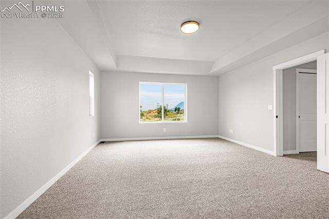 701 Little Bear Grove