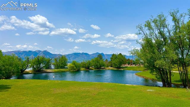 8445 Williamsburg Drive