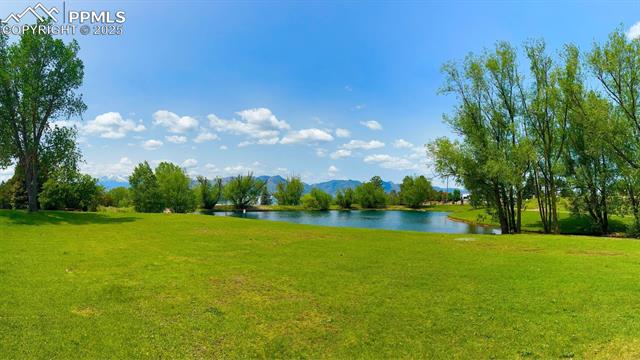 8445 Williamsburg Drive