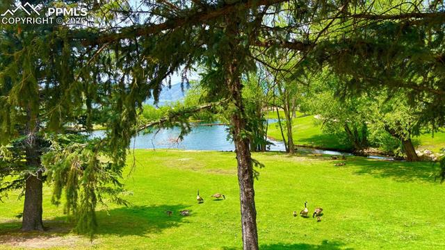 8445 Williamsburg Drive