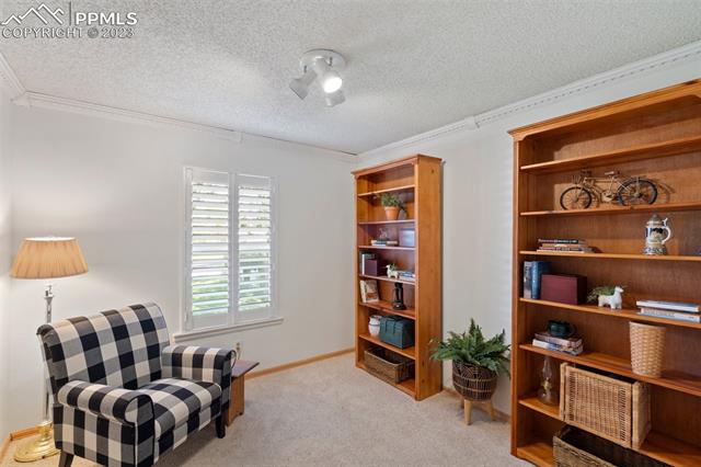 4911 Iron Horse Trail