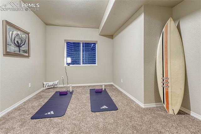 8386 Prairie Brush Court