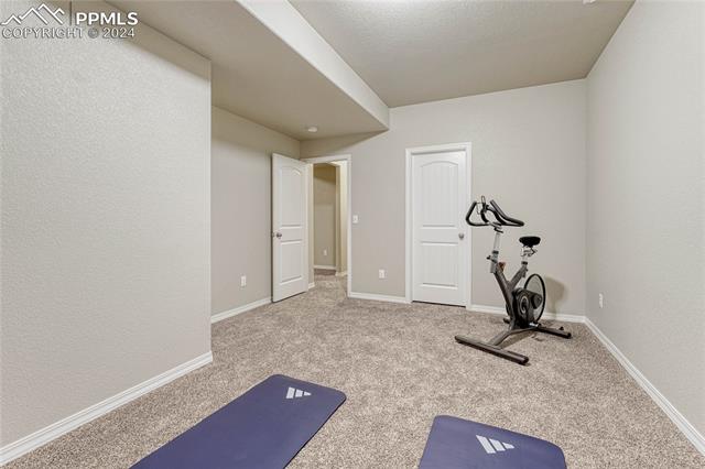 8386 Prairie Brush Court