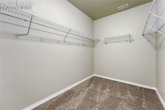 8386 Prairie Brush Court