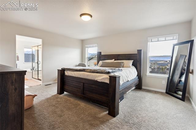 11932 Red Bullet Lane