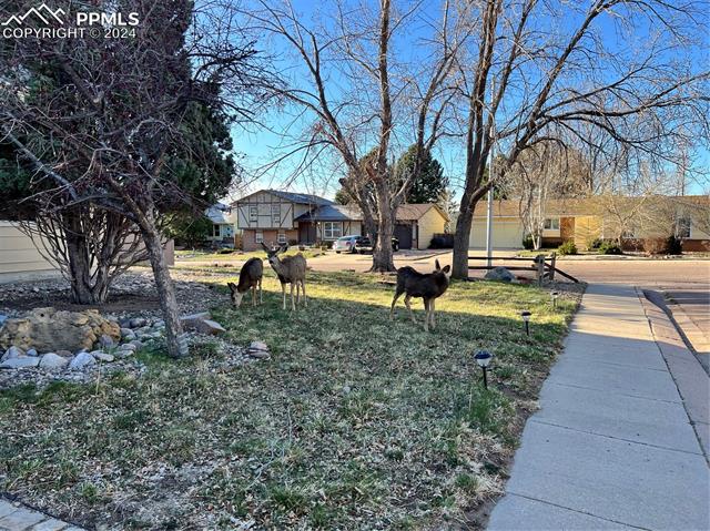 5165 Meadowgreen Drive