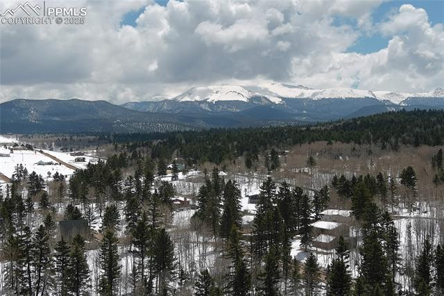 397 Will Scarlet Drive