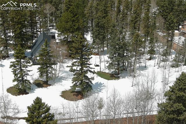 397 Will Scarlet Drive