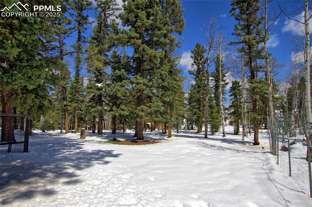 397 Will Scarlet Drive