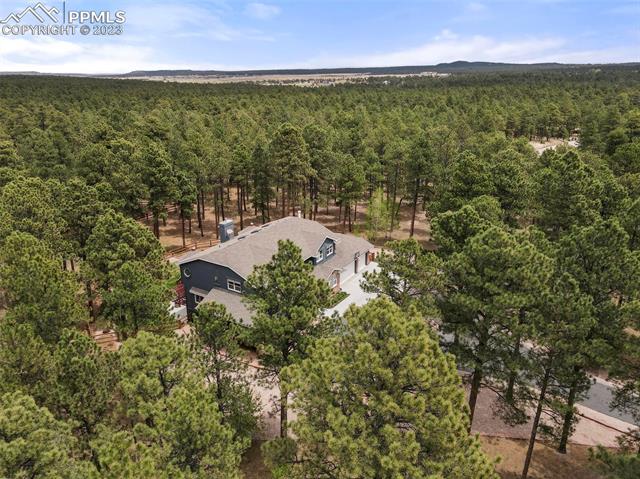 17415 Charter Pines Drive