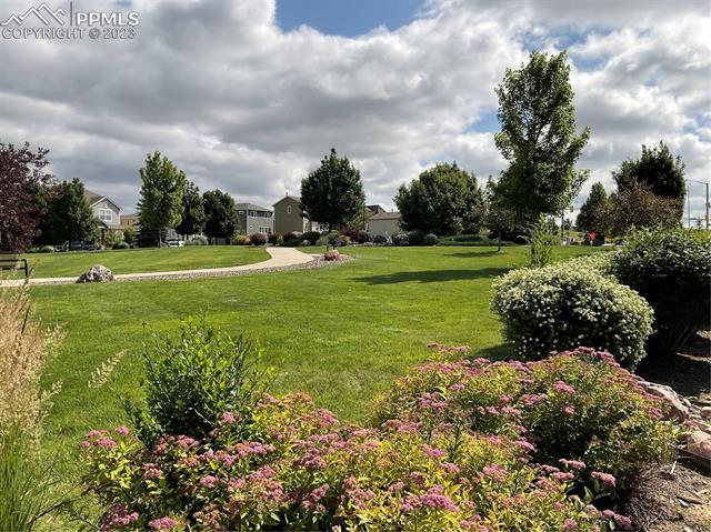 1768 Grand Overlook Street