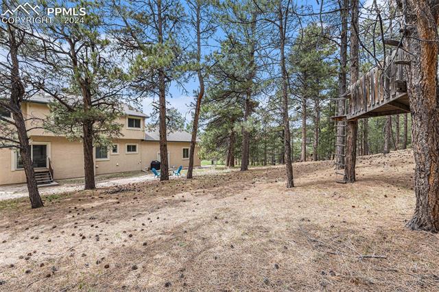 20125 Soaring Wing Drive