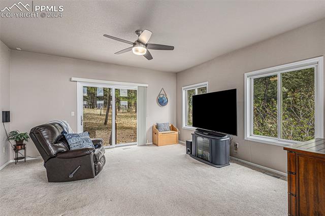 20125 Soaring Wing Drive