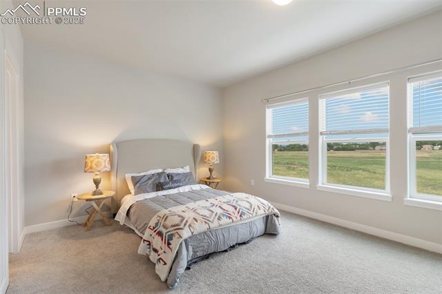 6565 Carriage Meadows Drive