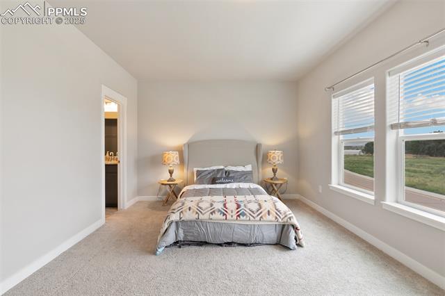 6565 Carriage Meadows Drive