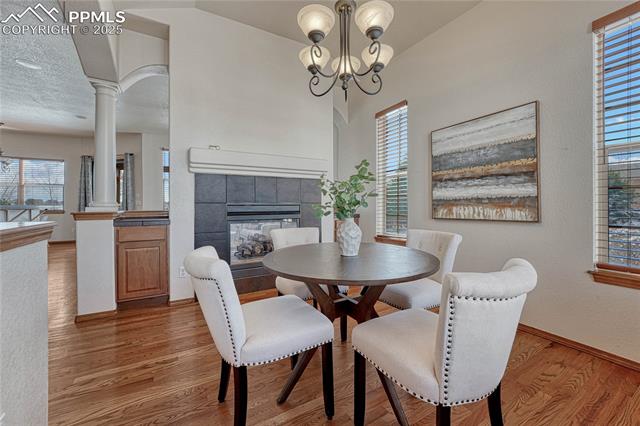 8641 Roaring Fork Drive