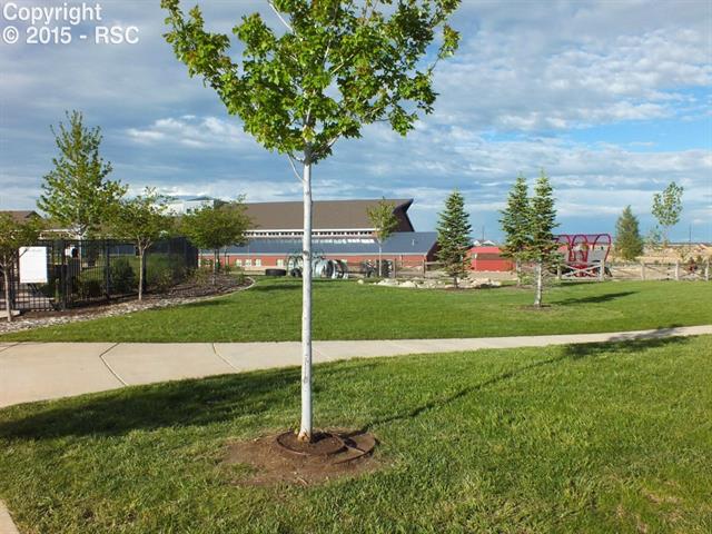 8233 Knotty Alder Court