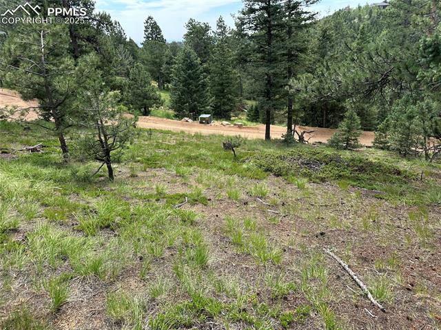 116 Happy Valley Road