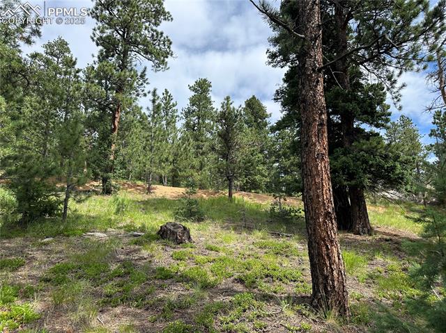 116 Happy Valley Road