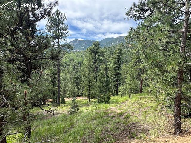 116 Happy Valley Road