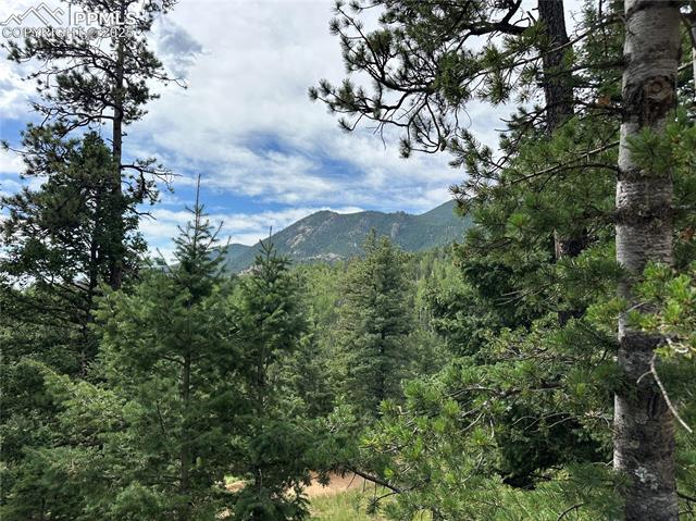 116 Happy Valley Road