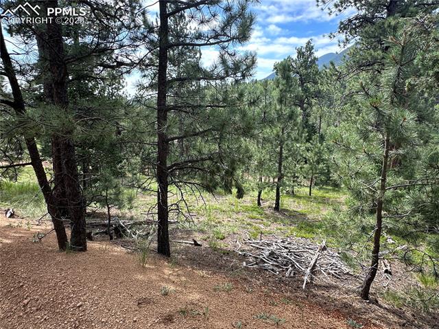 116 Happy Valley Road