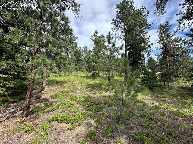 116 Happy Valley Road