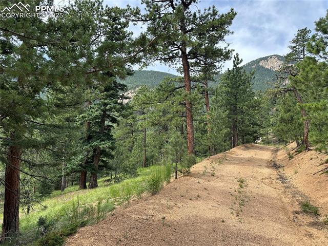 116 Happy Valley Road