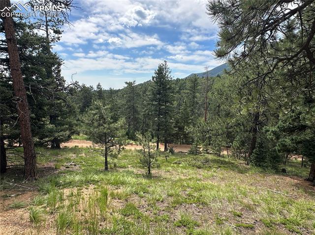 116 Happy Valley Road