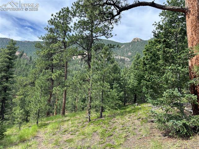 116 Happy Valley Road