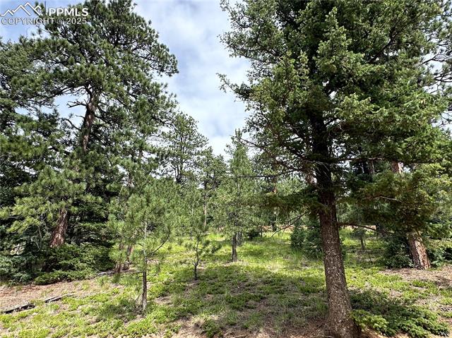 116 Happy Valley Road