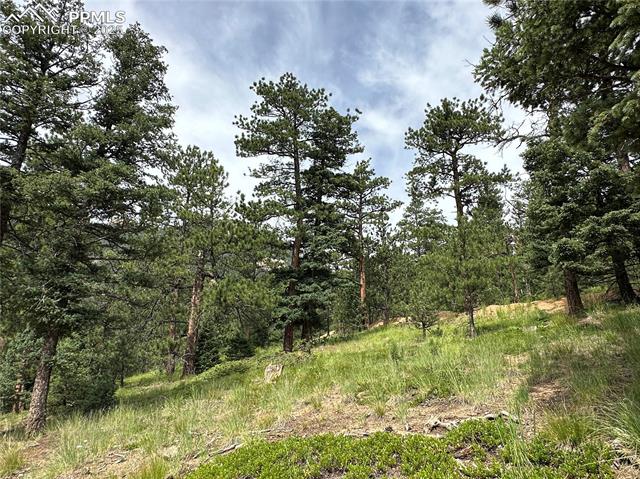 116 Happy Valley Road